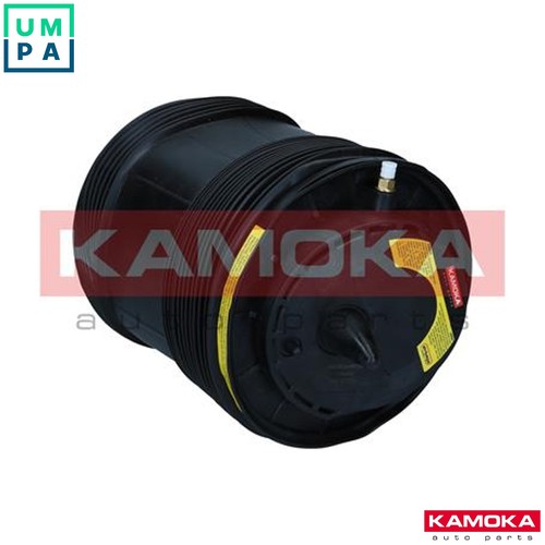 Air spring suspension 2079071 - suspension,