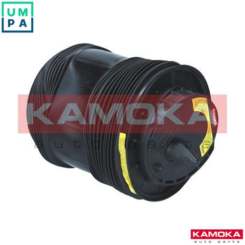 Air spring suspension 2079072 - air,